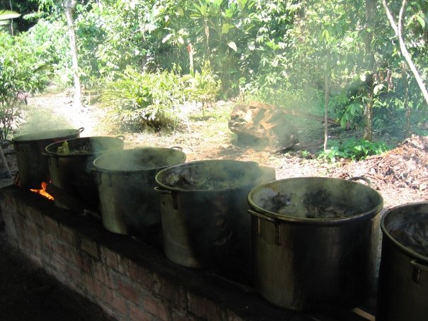 5 Must Ask Questions Before Sitting Ayahuasca